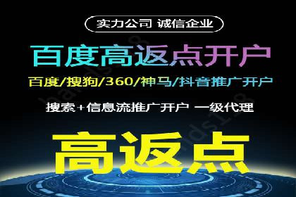 关键词竞价排名案例解析与启示
